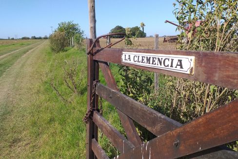 36 Ha La Clemencia (6)