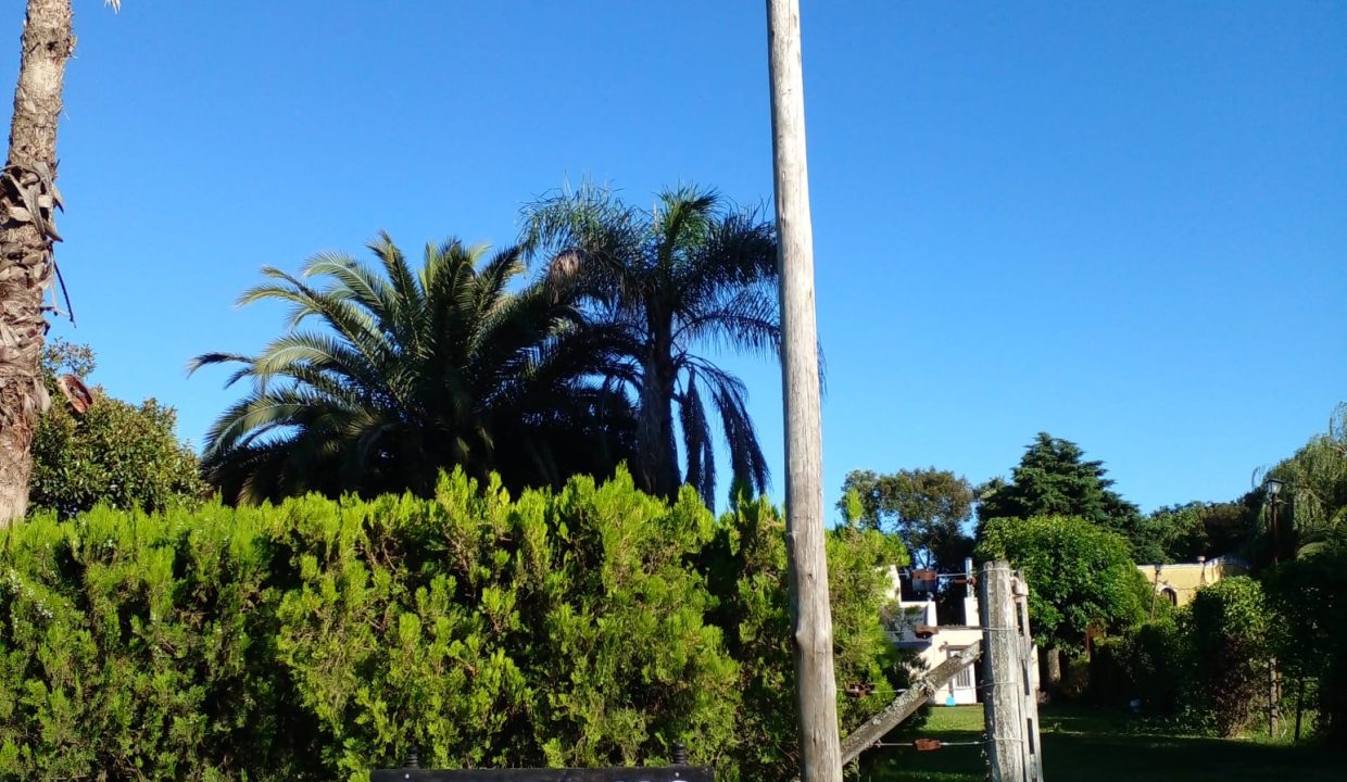 IMG-20250509-WA0040