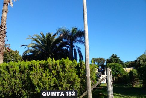 IMG-20250509-WA0040