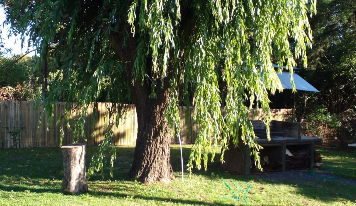IMG-20250509-WA0043