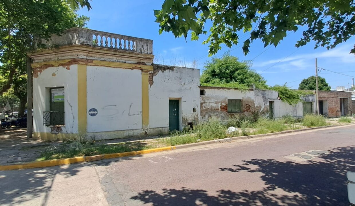 WhatsApp Image 2025-11-28 at 17.17.39