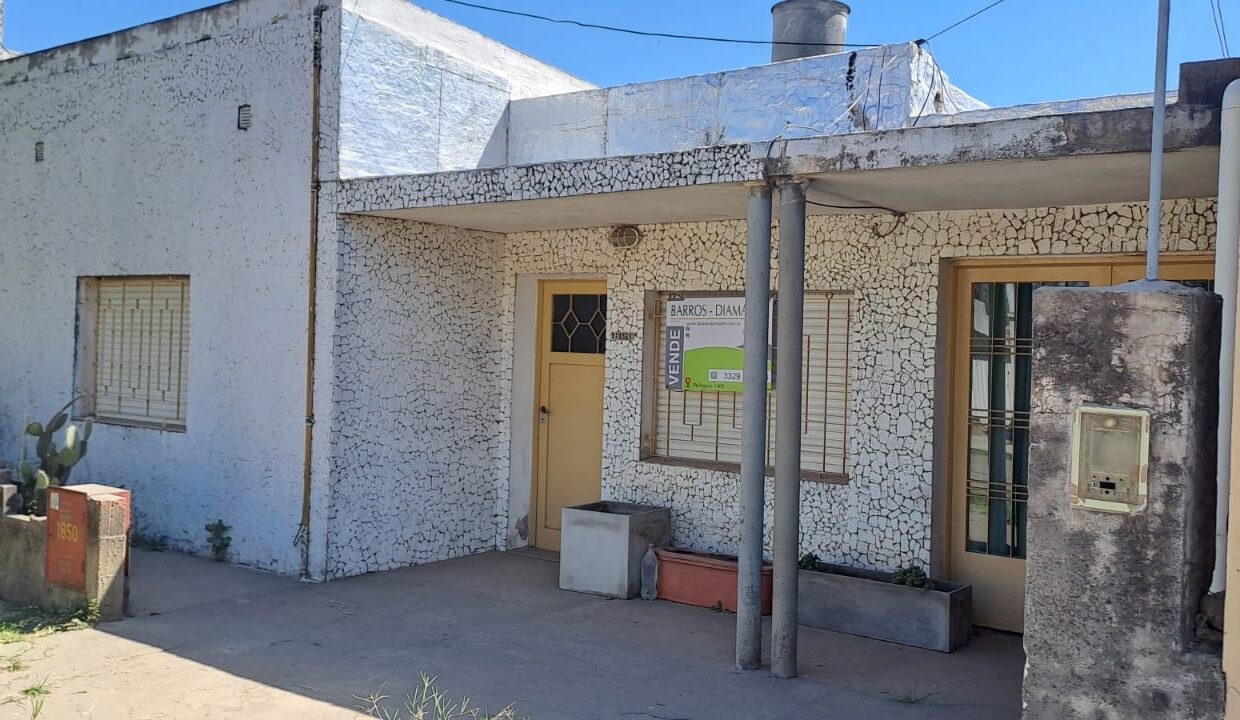 WhatsApp Image 2026-02-19 at 11.41.26