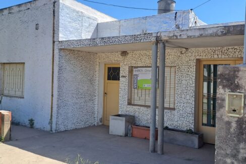 WhatsApp Image 2026-02-19 at 11.41.26